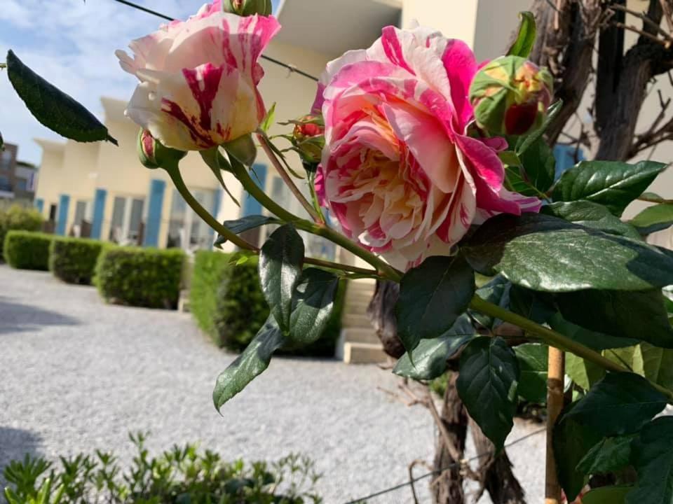 Hotel L'Etape Villeneuve-Loubet Eksteriør bilde